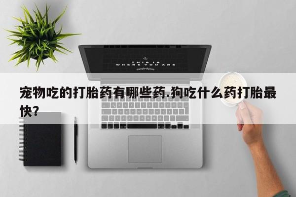 打胎药微信宠物吃的打胎药有哪些药.狗吃什么药打胎最快？
