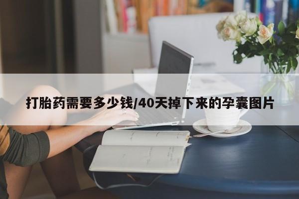 打胎药微信打胎药需要多少钱/40天掉下来的孕囊图片